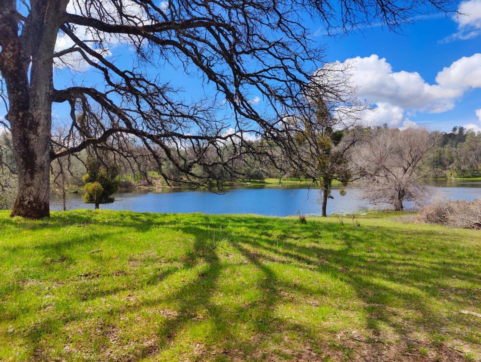Rolling Oaks Ranch - 200 Acres Of Lakeside Beauty & Countryside Serenity Mariposa Exterior foto